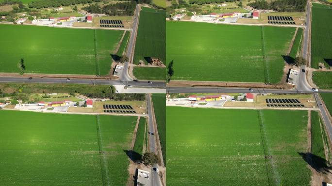 降落在马铃薯田位于路边与灌溉系统打开，葡萄牙