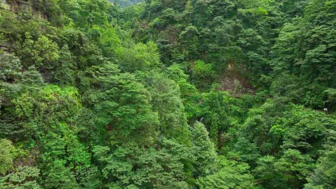 大关县黄连河瀑布景区