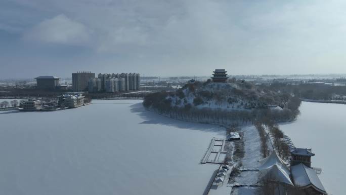 大雪覆盖下的寂静树林