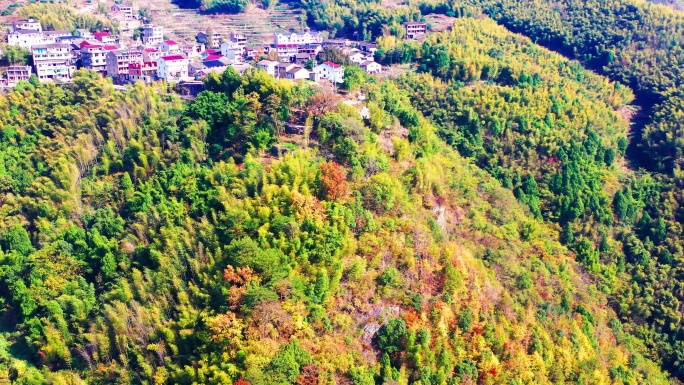 临海市茶辽古道，茶辽枫岭，茶辽村