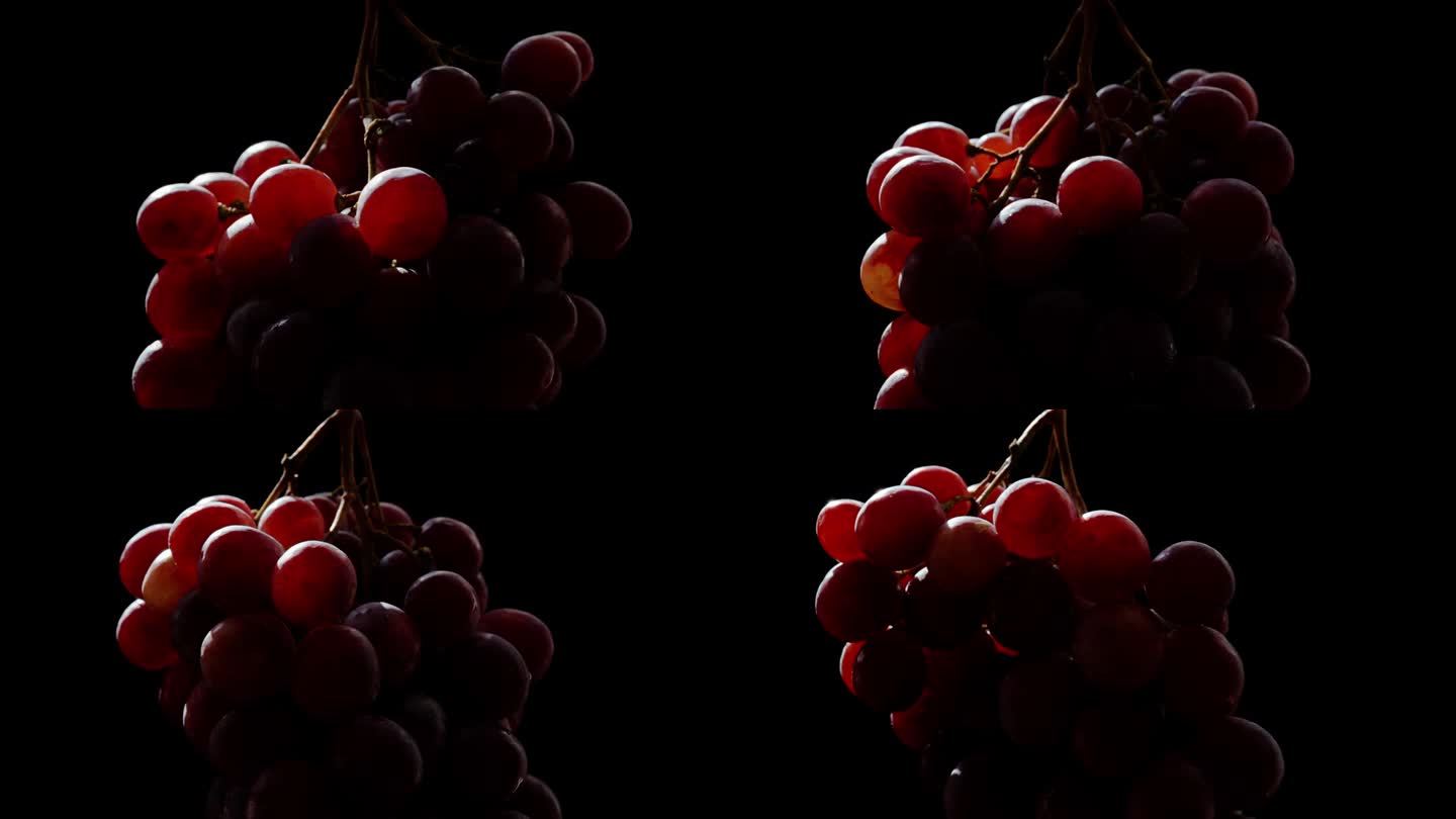 一串红葡萄的特写，阳光柔和地照亮了它，在黑色的背景下，特写。
