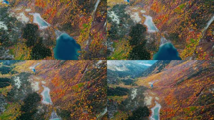 独特的自然地标，航拍，从空中俯瞰美丽的蓝色湖泊和森林在秋天的一天