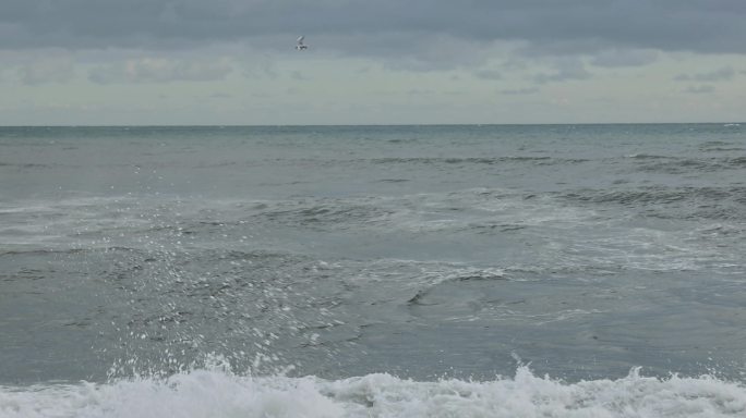 海鸥与巨浪