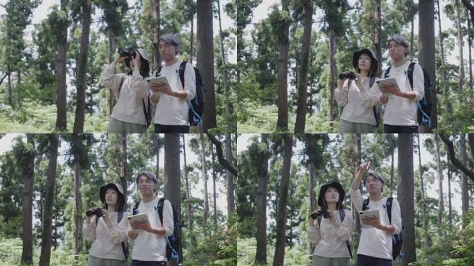 一对日本夫妇在宁静的森林里用笔记本记录了他们的观鸟之旅。