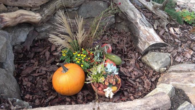 秋季园林装饰。感恩节或万圣节的概念。