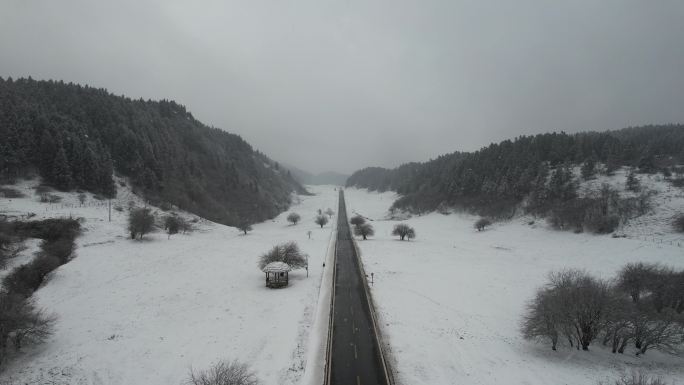 雪景