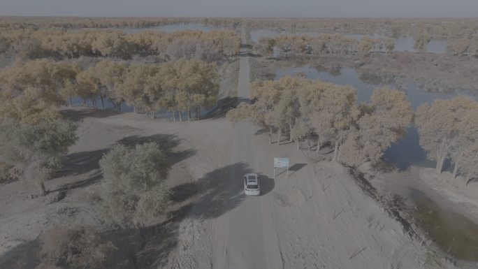沙漠湿地公园素材（4K）