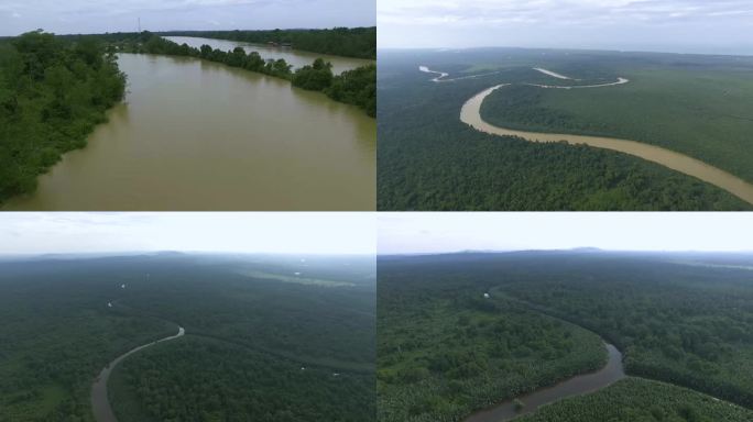 河谷 森林 弯曲河流 大自然空镜 航拍