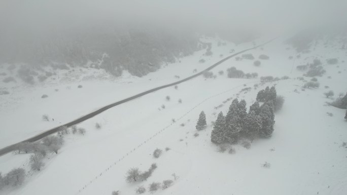 雪景中的公路