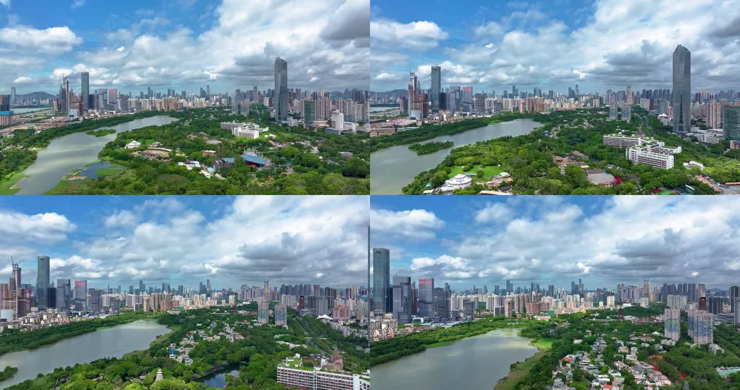 2023深圳湿地公园城市航拍
