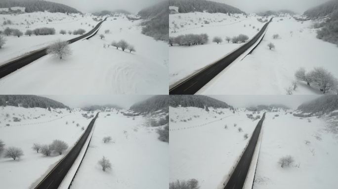 仙女山雪景