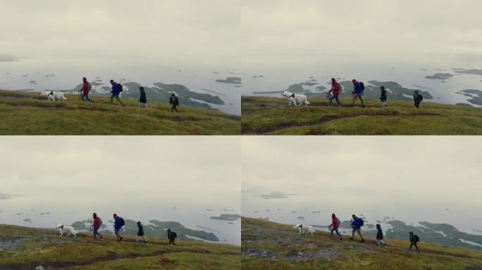无人机跟随带着两个孩子和白狗的年轻家庭爬上山，观察挪威海的壮丽景色