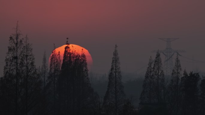 超大日落夕阳太阳电塔森林松树