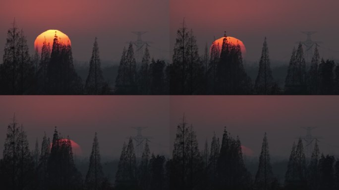 超大日落夕阳太阳电塔森林松树