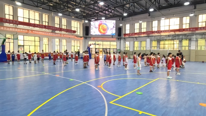 青少年小学生篮球集训班篮球培训机构合集