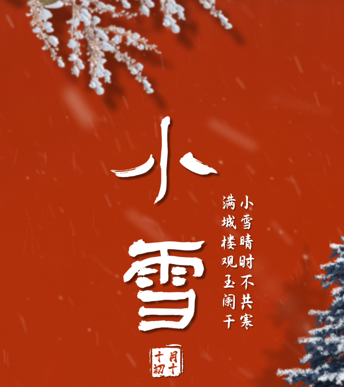 二十四节气小雪大雪冬至小寒大寒模板竖版