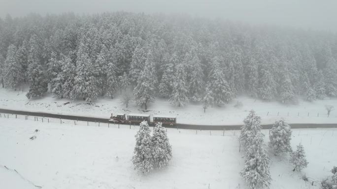 奔赴在雪景中的小火车