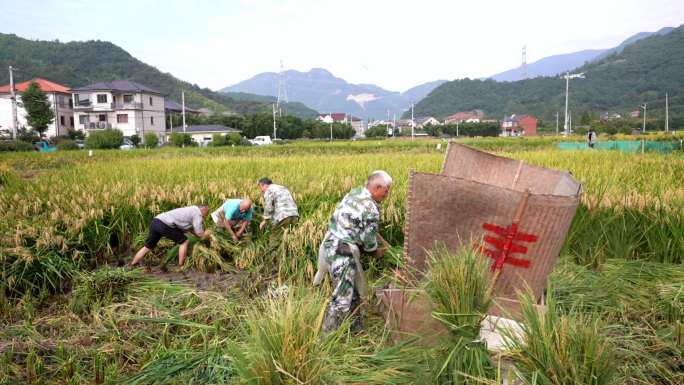 临安昌化虞溪村