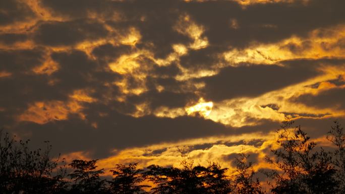 太阳日落夕阳晚霞火烧云竹林剪影