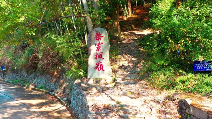 临海市茶辽古道，茶辽枫岭，茶辽村