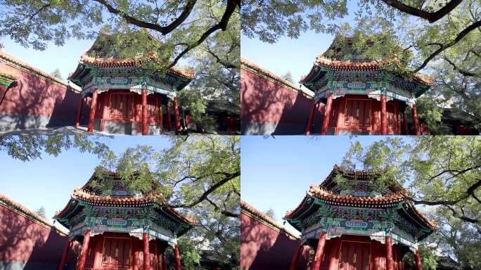 北京雍和宫视频素材