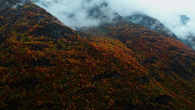 多云的天气在山上，空中全景拍摄与山斜坡覆盖了五颜六色的森林