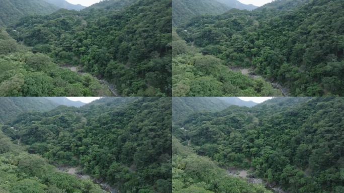 多米尼加共和国佩拉维亚省巴尼市El Salto Las Yayitas附近河谷的密林山脉。无人机航拍