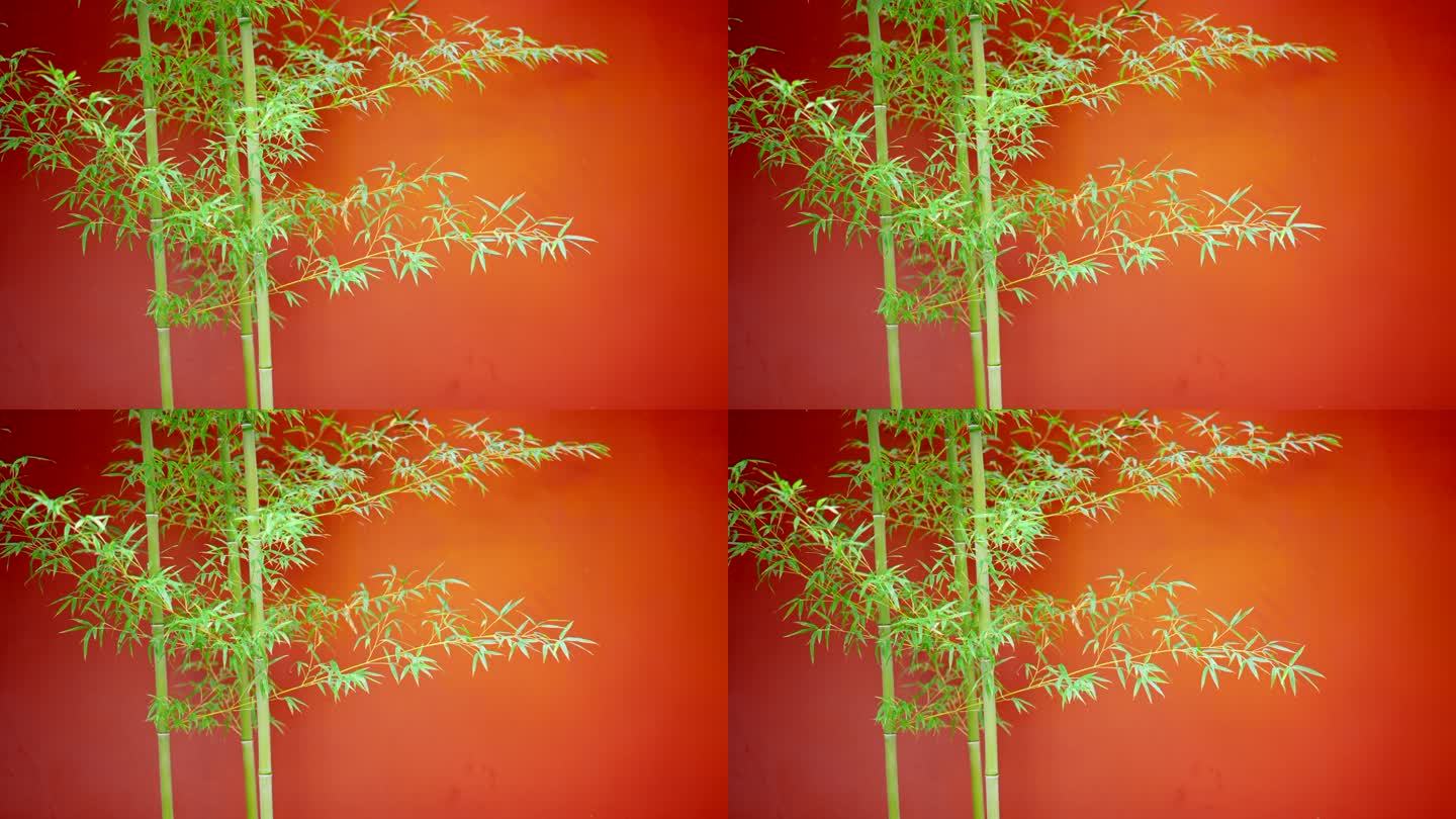 竹子红墙背景