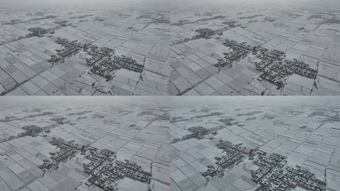 白雪覆盖中的村庄农田