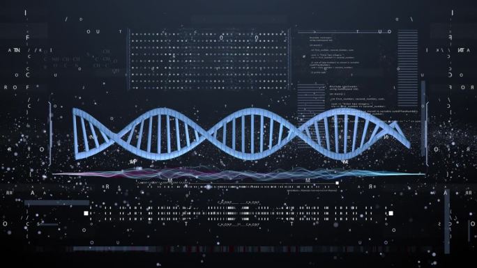 DNA分析计算机HUD