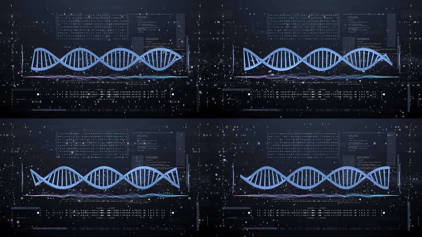 DNA分析计算机HUD