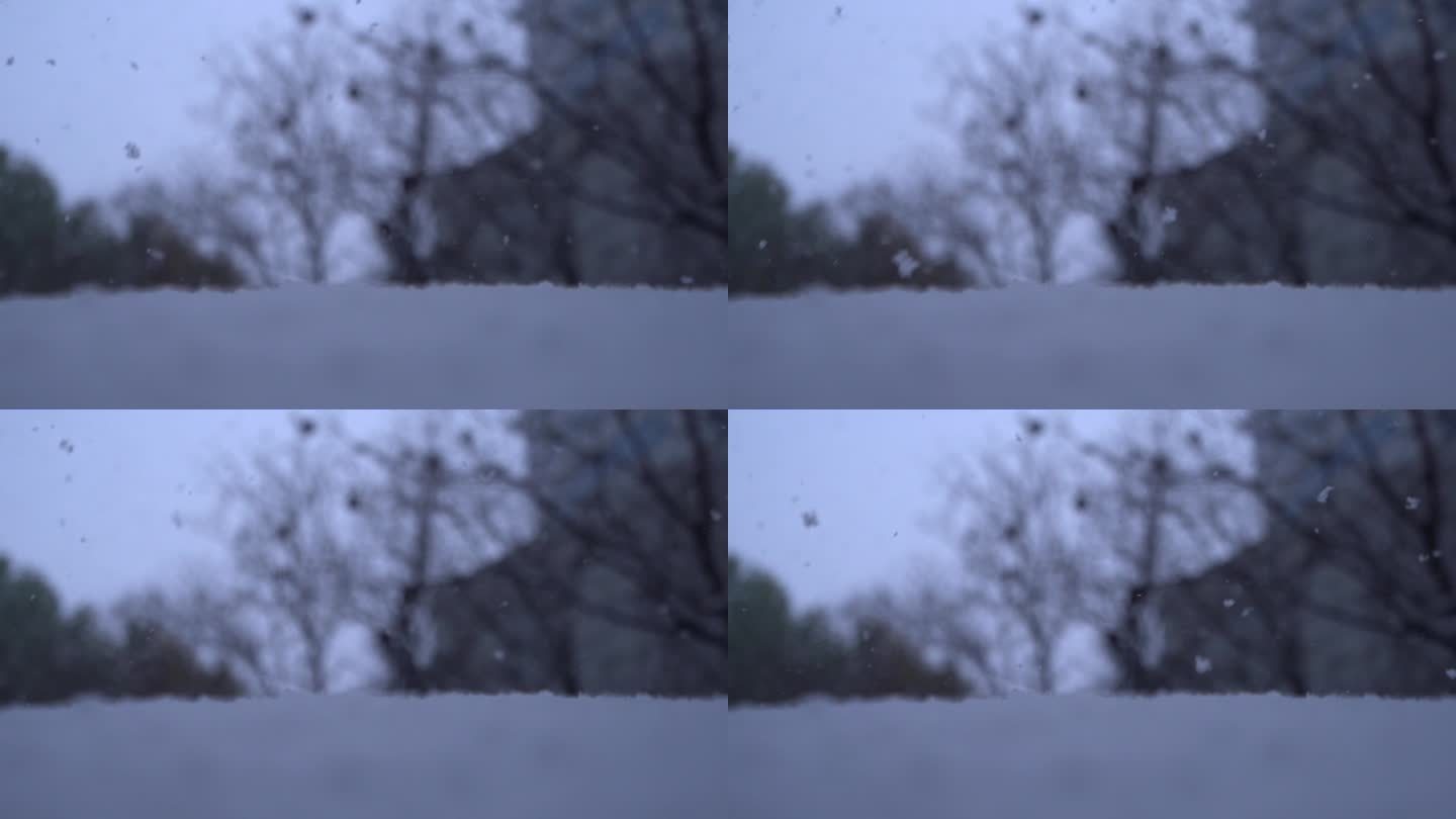 下雪慢动作唯美升格镜头