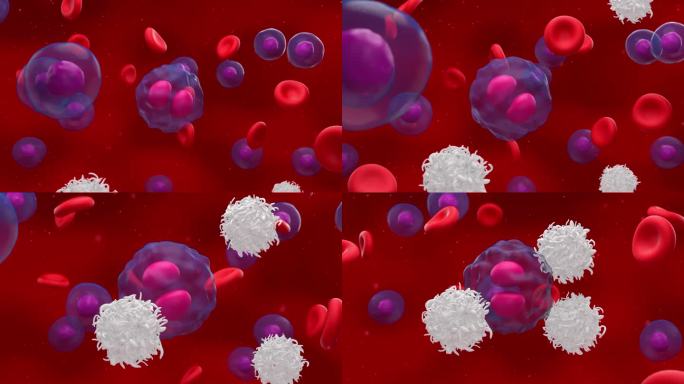 激活的t细胞攻击和破坏分裂的淋巴瘤细胞- 3d渲染动画