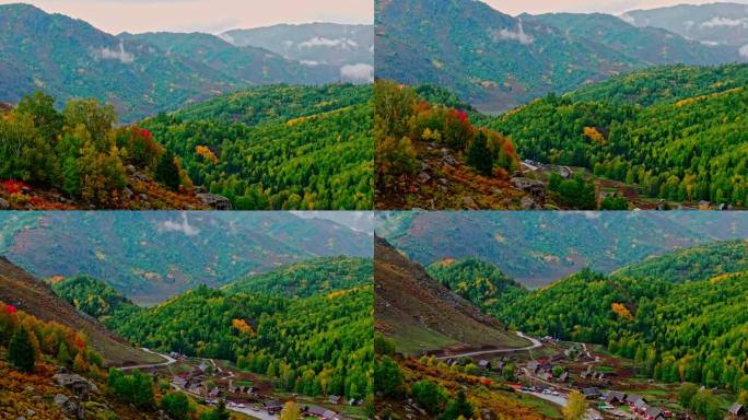 航拍晨雾中的原始森林