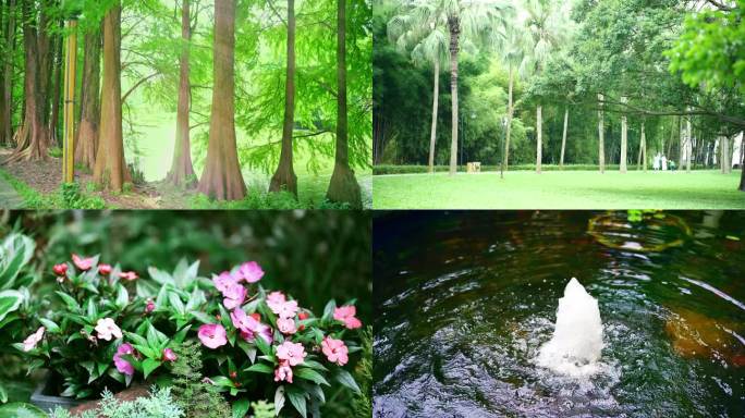 4K植物大自然清新唯美花草树木环保旅游玩
