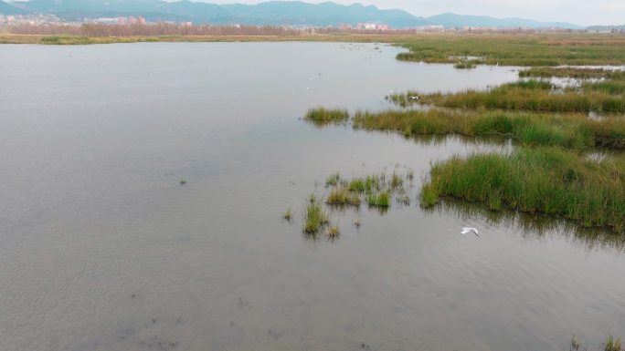 航拍毕节威宁草海风光