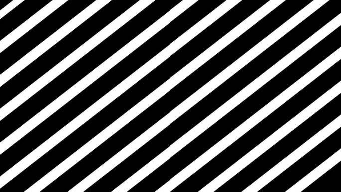 横条纹线条动画背景。白色和黑色。视频片段