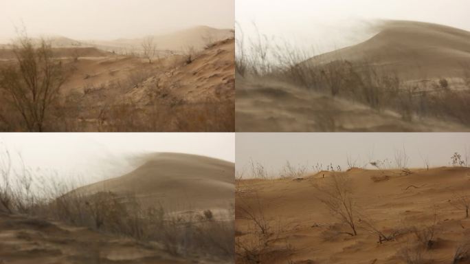 阿拉善初冬沙漠里的风天