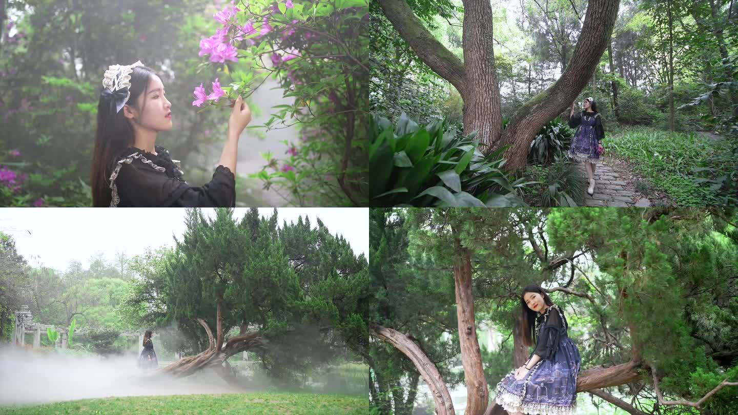 洛丽塔女生在武汉植物园迷雾森林中赏杜鹃花