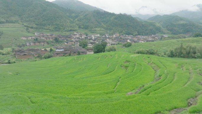 屏南柏源村大气航拍 雾气乡村