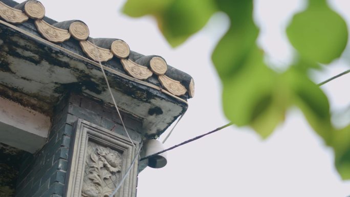 中国风古建筑屋檐树枝变焦运镜