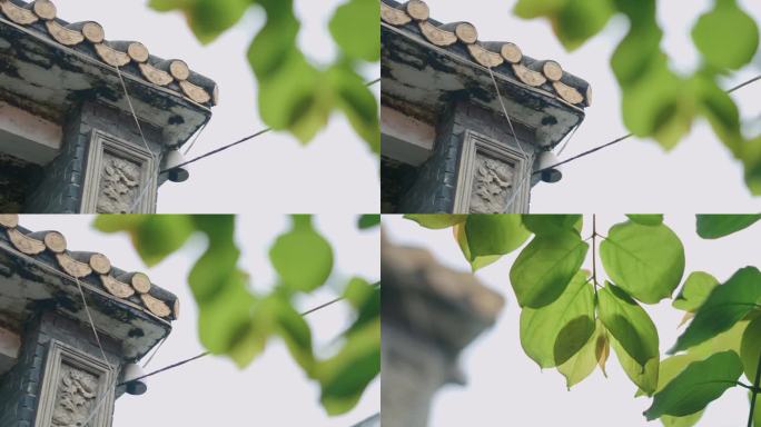 中国风古建筑屋檐树枝变焦运镜