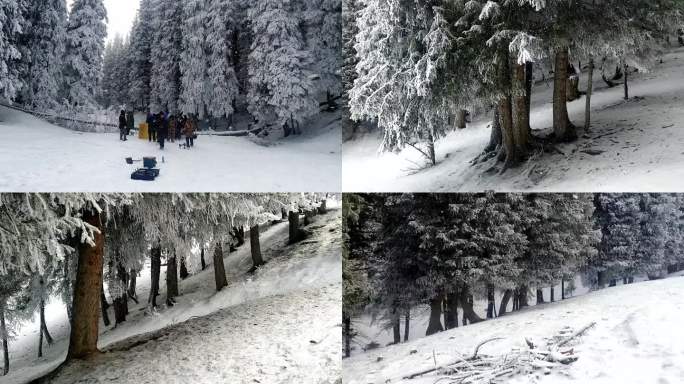 天山林海雪原