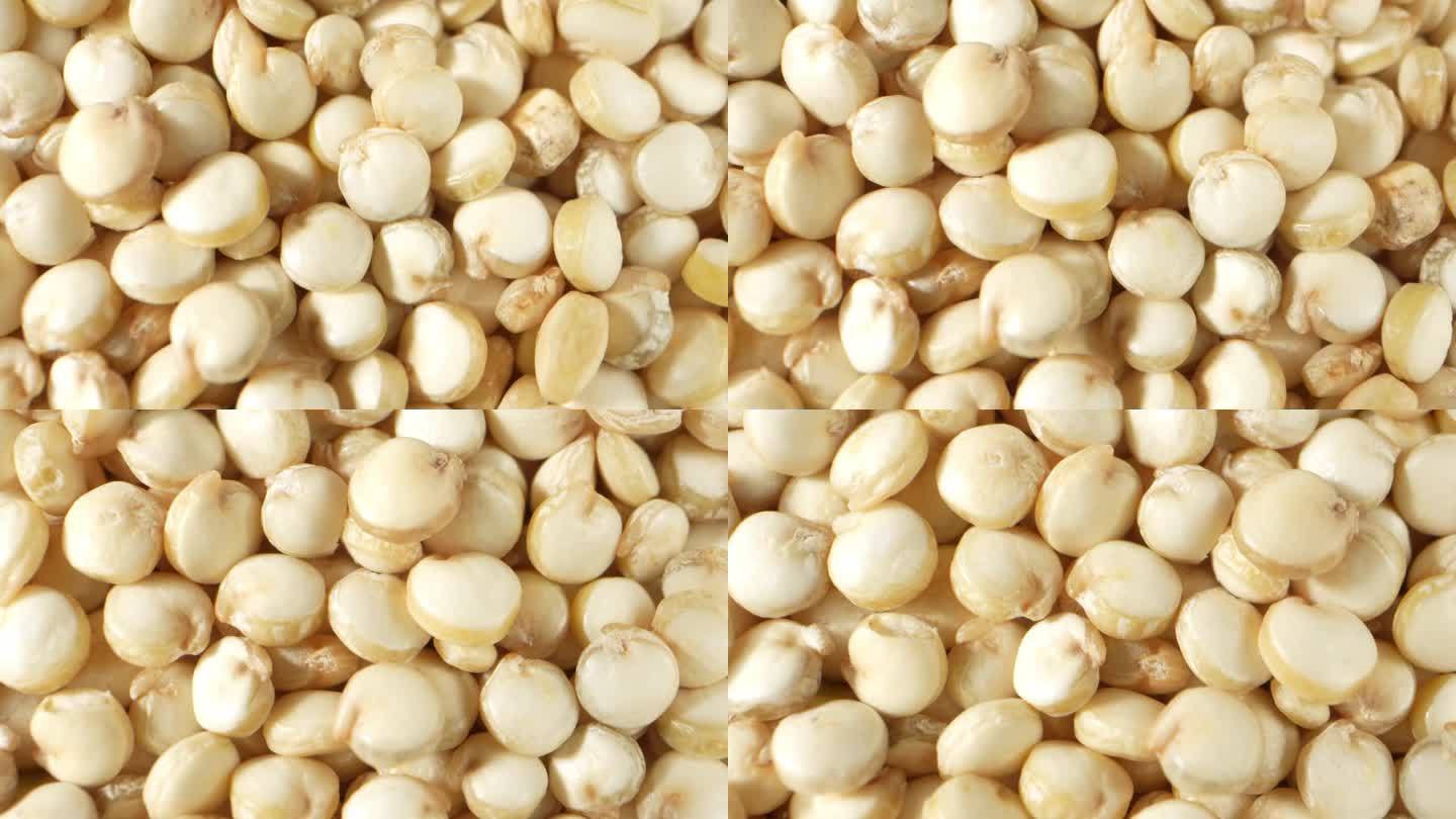 白藜麦是一种营养丰富、用途广泛的谷类种子。