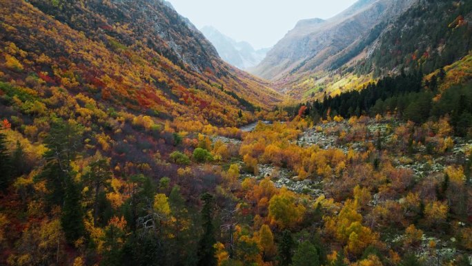 秋季高原混交林，鸟瞰美丽山谷，自然之美