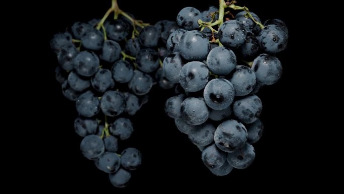 两串葡萄，有大而圆的黑浆果。它们从上方悬挂并在黑色背景上旋转。