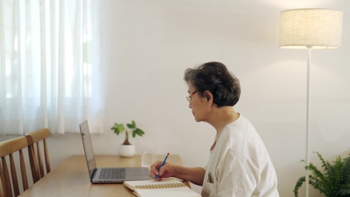 高级女性与笔记本电脑和铅笔保持联系。
