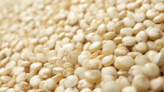 白藜麦是一种用途广泛且营养丰富的谷物