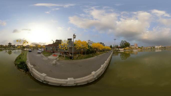 VR全景视频湖面的风铃木