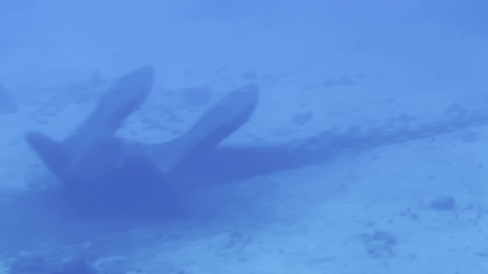 在夏威夷岛海岸外，通过潜艇舷窗拍摄了一艘船锚在海底的电影特写镜头。30fps的4K HDR